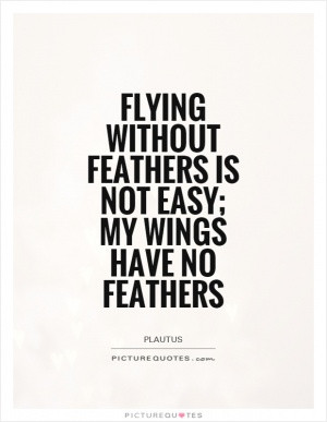 James Dickey Quotes Flying Quotes Flight Quotes Sensations Quotes ...