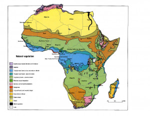 Africa Natural Vegetation Map