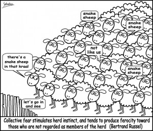 Herd instinct