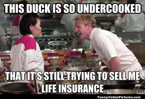 ... meme from famous chef Gordon Ramsay’s hit show Hell’s Kitchen