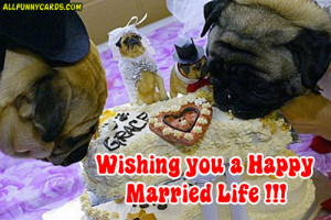 ... wishing you a happy married life wishing you a happy married life