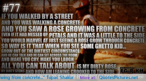 You saw a rose growing from concrete…” Tupac Shakur motivational ...