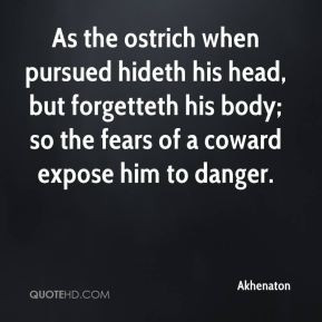 As the ostrich when pursued hideth his head, but forgetteth his body ...