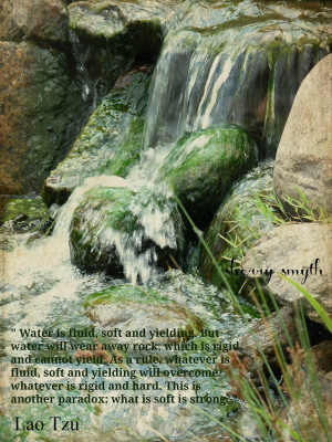quotes/lao-tzu-quote-be-careful-what-you-water-your-dreams-with-water ...