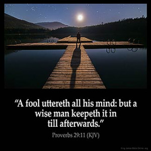 Inspirational Image for Proverbs 29:11