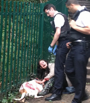 El Sr. Stearman, dijo que apuñaló al perro para intentar que este no ...