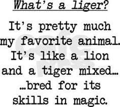 napoleon dynamite quotes - Google Search