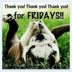 Thank You For Fridays quotes cute quote friday happy friday tgif days ...