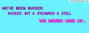 ... ve Been Bucked Kicked Bit Stomped Still We Never Give Up - Horse Quote