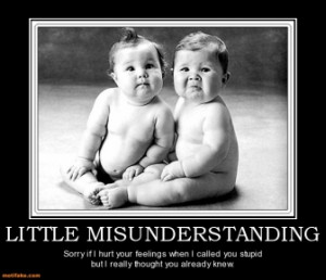 LITTLE MISUNDERSTANDING - Sorry if I hurt your feelings when I called ...
