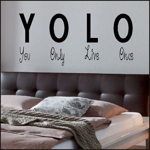 BEDROOM-QUOTE-YOU-ONLY-LIVE-ONCE-YOLO-WALL-ART-STICKER-TRANSFER ...