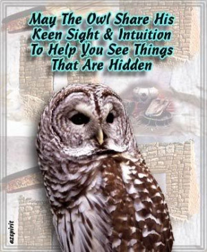 loving spirits tribes owls mystical powers vision owls wise honest