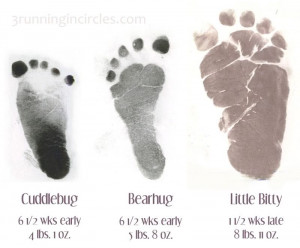 ... those 8 weeks made! Here is a comparison of their footprints