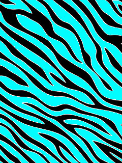 Zebra Stripes Image