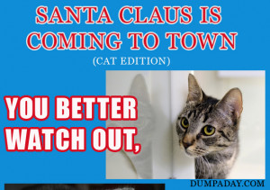 Santa-Claus-Is-Coming-To-Town-Cat-Song-Dump-A-Day-thumb-.jpg