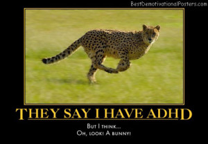adhd-ocelot-distracted-humor-best-demotivational-posters