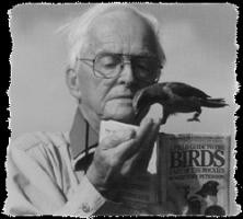 Roger Tory Peterson's Profile