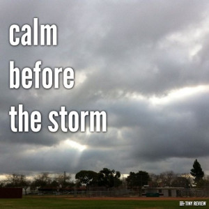 Calm Before the Storm Quotes