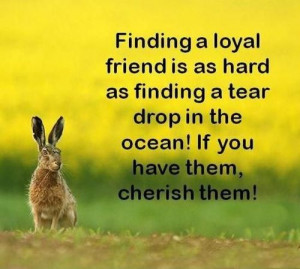friendship quotes