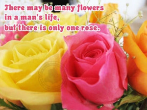 Romantic Quotes: There is only one rose…