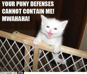 Posted by Cathi Falconwing about three years ago