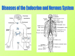 common ailments and diseases of the nervous system
