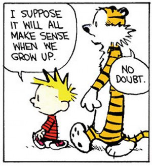 Calvin and Hobbes - I suppose it will all make sense when we grow up ...