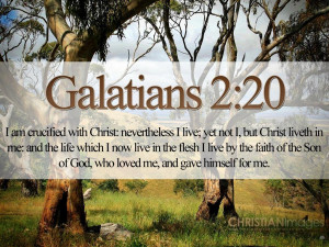 Bible Verses On Love Galatians 2:20-21 Trees HD Wallpaper