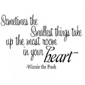 Sometimes the smallest things Winnie the Pooh quote (18x11 ...