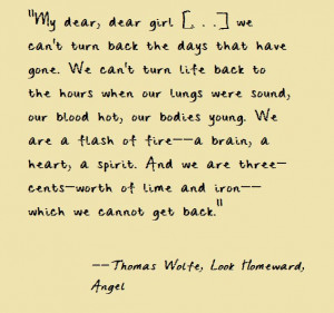 Thomas Wolfe, Look Homeward, Angel