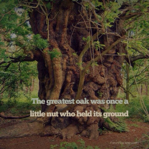 Quotes For The Long Haul