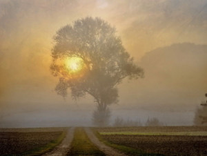 Just a few motivational quotes and tips for those troubled times when ...