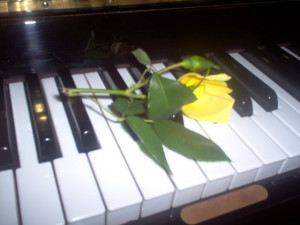 Piano Rose Image