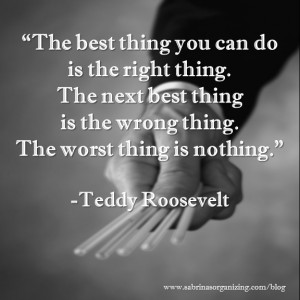 to do quote by Teddy Roosevelt
