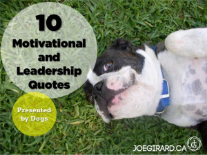 10 Motivational and Leadership Quotes - Presented by Dogs