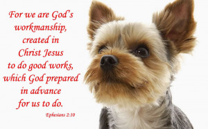 ... www.pics22.com/we-are-gods-workmanship-bible-quote/][img] [/img][/url