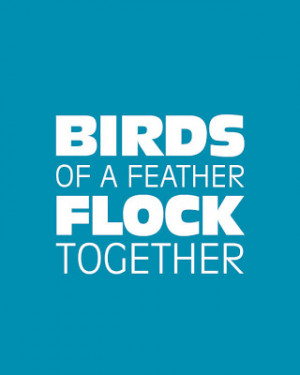 Birds Of a Feather Flock Together