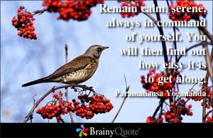 Remain calm, serene, always in command of yourself. You will then find ...