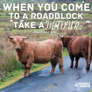 When you come to a roadblock, take a detour.” ~Mary Kay Ash | Tweet ...