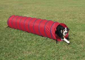 PetSafe 10 ft Open Backyard Agility Tunnel