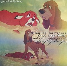 The Fox and the Hound... More