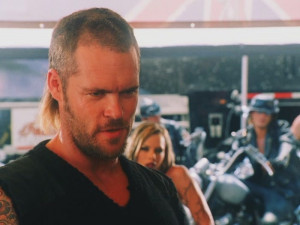 matt schulze matt in torque matt schulze matt schulze 2002