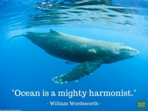 11 Quotes About The Ocean That Remind Us To Protect It