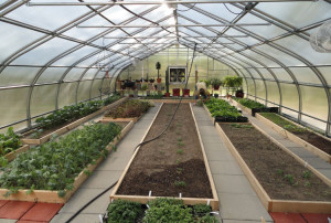 North Point Greenhouse
