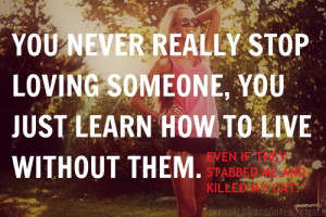 Hipster Edits Instagram Quote Rebuttals Picture