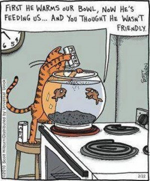 LOL – Best Funny Cartoon Joke!