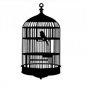 Bird Cage Silhouette