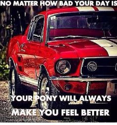 Funny Mustang Quotes Ford mustang quotes, mustangs