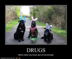 Do you believe one drug is a 'gateway' to another?