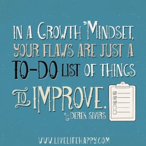 In a growth mindset, your flaws are just a TO-DO list of things to ...